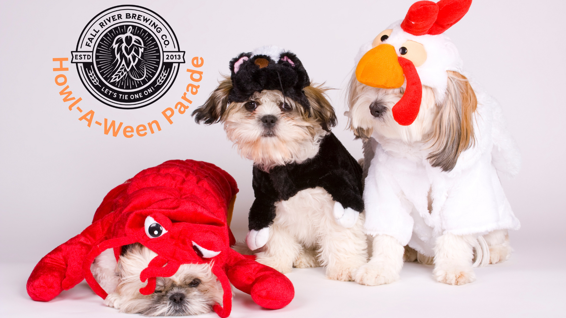 Howl-A-Ween Dog Costume Parade 